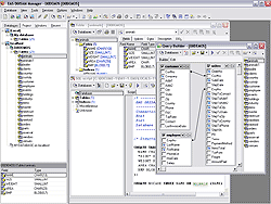 Screenshot of EMS SQL Manager for DBISAM