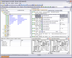 EMS DB Comparer for MySQL 3.3 screenshot
