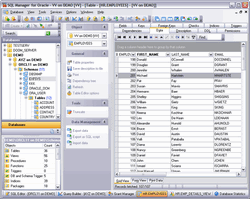 Screenshot for EMS SQL Manager for Oracle 2.4