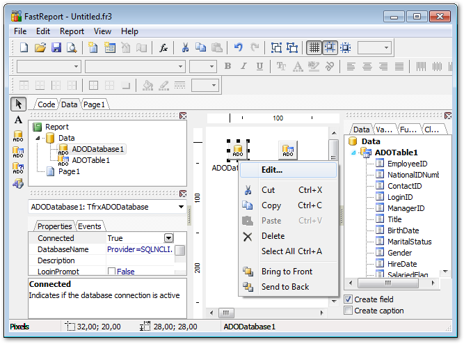 Report Designer - Adding database component