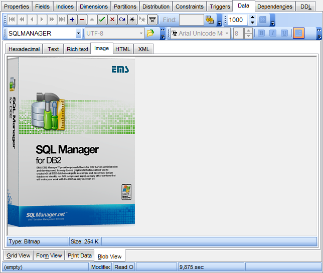 Data View - BLOB View - Image