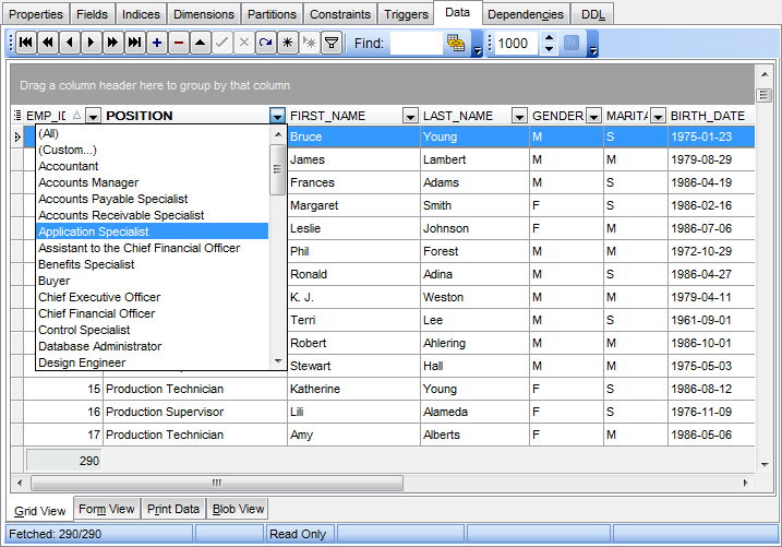 Data View - Grid View - Filtering records