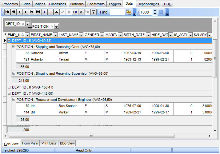 Data View - Grid View - Grouping data by two columns