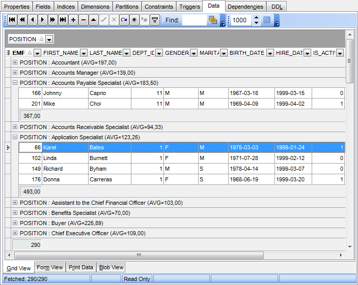 Data View - Grid View - Grouping data