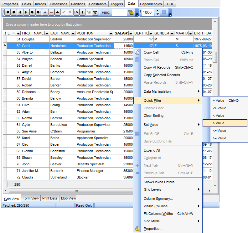 Data View - Grid View - Quick Filter