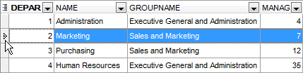 Environment Options - Grid - Show indicator