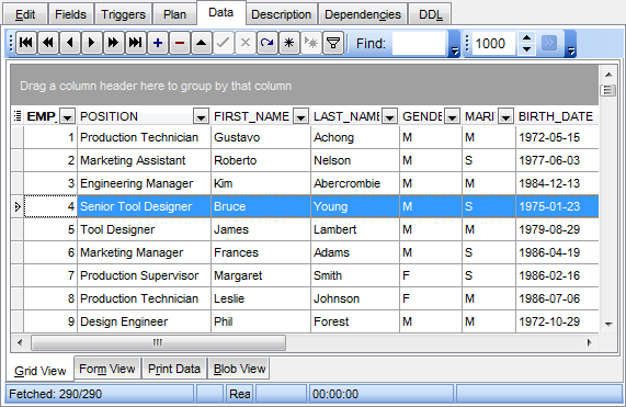 View Editor - Working with data