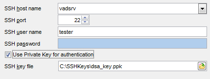 Appendix - SSH tunneling options