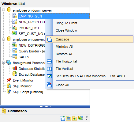 Appendix - Window List