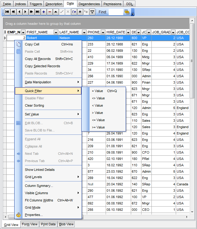 Data View - Grid View - Quick Filter