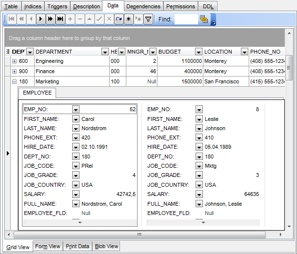 Data View - Grid View - Working in card view mode