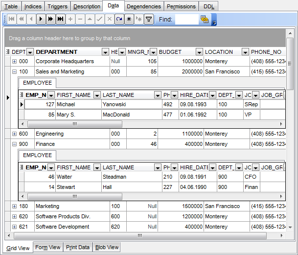 Data View - Grid View - Working in multi-level mode