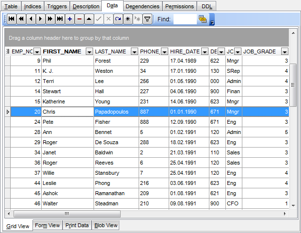 Data View - Grid View