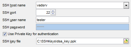 Register Host wizard - SSH tunneling parameters