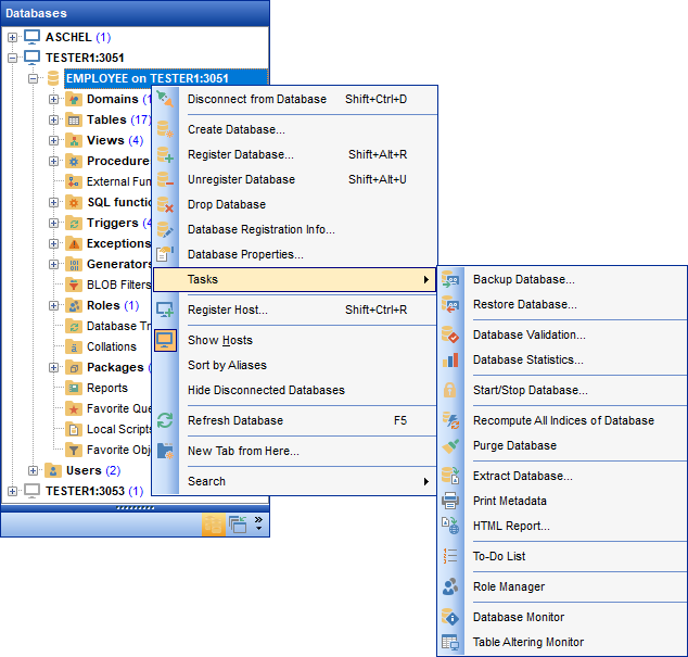 Using context menus - Database context menu