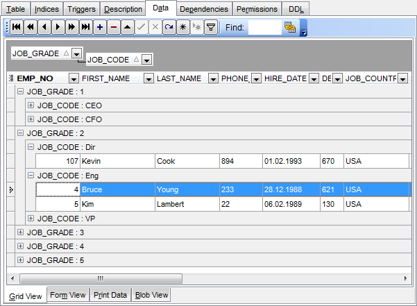 Data View - Grid View - Grouping data by two columns