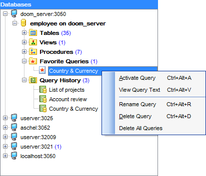 hs2430 - DB Explorer - Query context menu