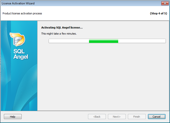 License activation - License activation process