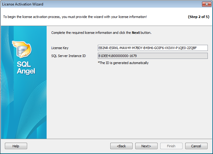 License activation_Enter the key_online_email