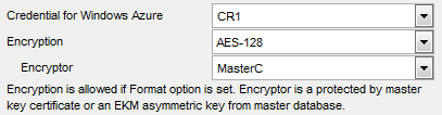 Backup Database - Setting advanced backup options - Setting encryption