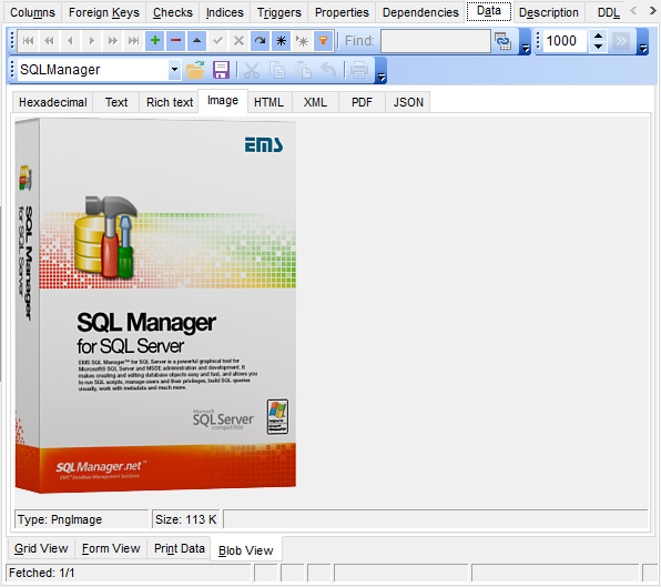 Data View - BLOB View - Image