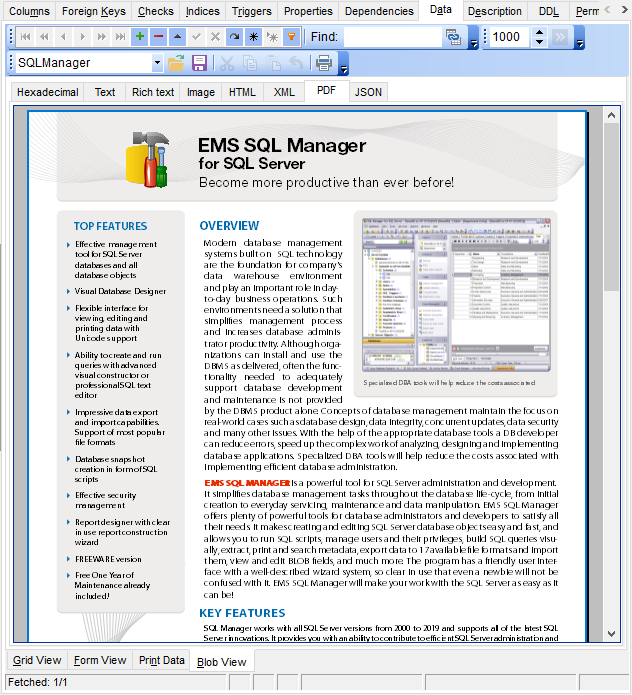 Data View - BLOB View - PDF