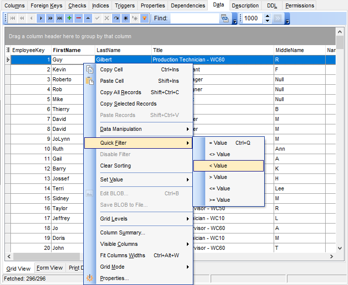 Data View - Grid View - Quick Filter