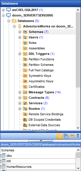 Database Explorer