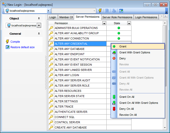 Login Editor - Defining server permissions