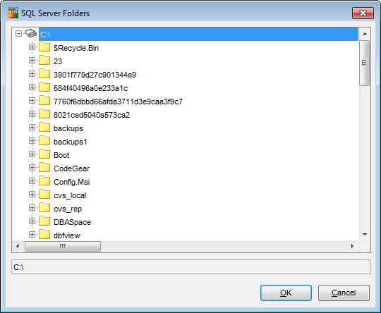Server Properties - Database Settings - SQL Server Folders