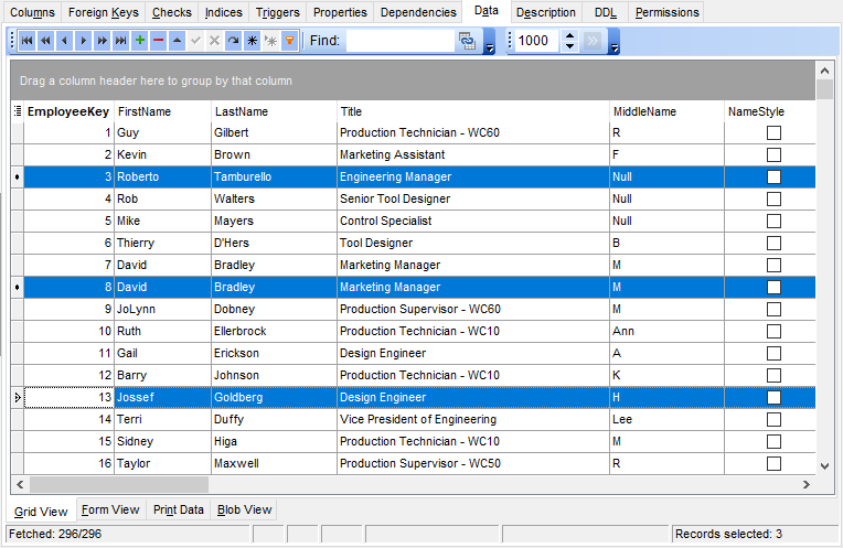 Data View - Grid View