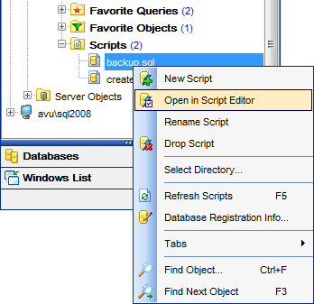 DB Explorer - Managing scripts
