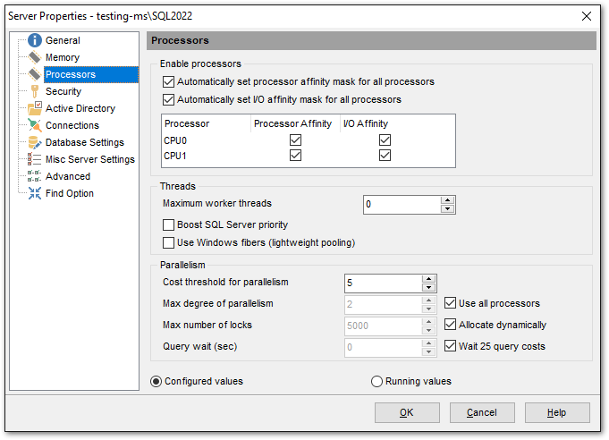 Server Properties - Processors