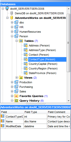 hs3100 - Database Explorer