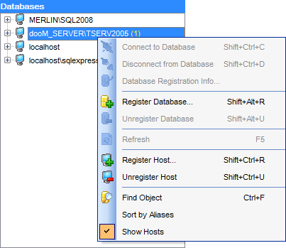 hs2410 - DB Explorer - Host context menu