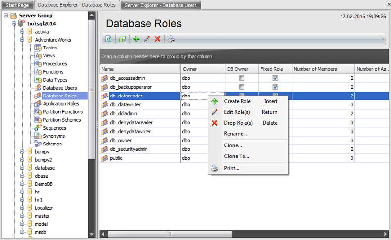 Database Roles