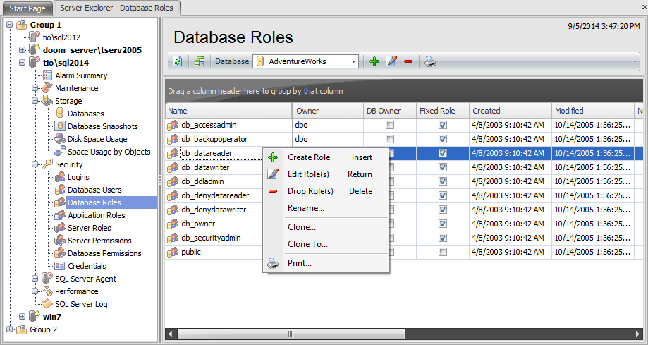 Security - Database roles
