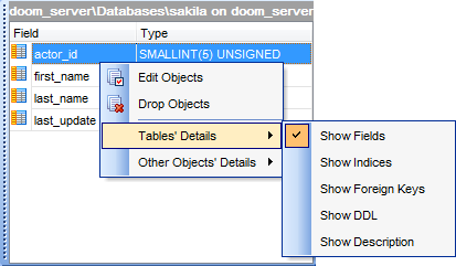 DB Explorer - SQL Assistant - Object details