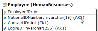 Environment Options - Tools - VDBD - Draw attributes information