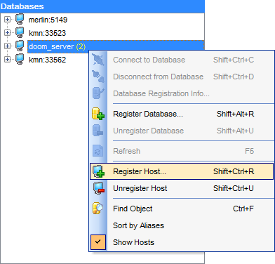 hs2410 - DB Explorer - Host context menu