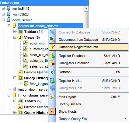 hs2420 - DB Explorer - Database context menu