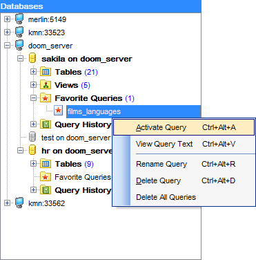 hs2430 - DB Explorer - Query context menu