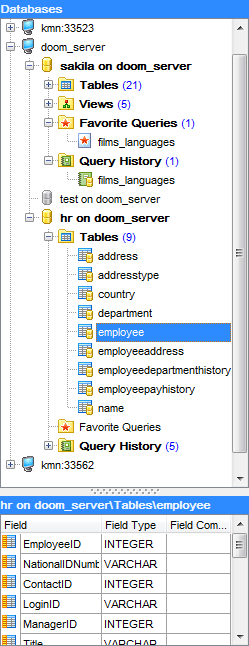 hs3100 - Database Explorer