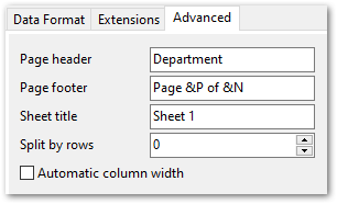 Format-specific options - MS Excel - Advanced