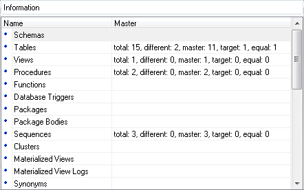 Working with Project - Information window - total
