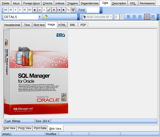 Data View - BLOB View - Image