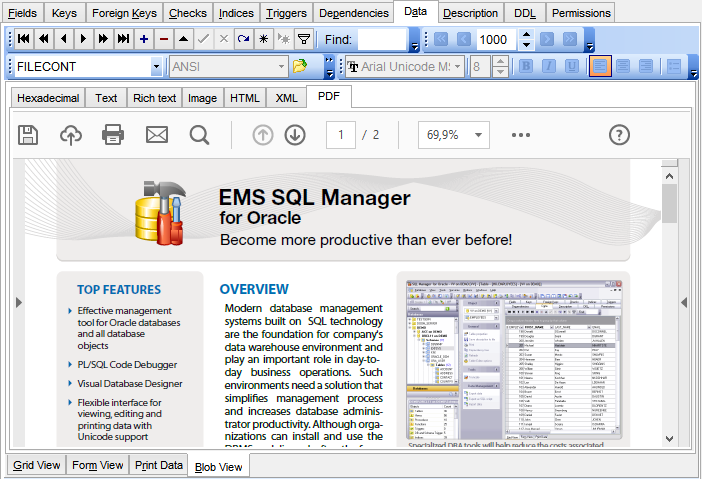 Data View - BLOB View - PDF