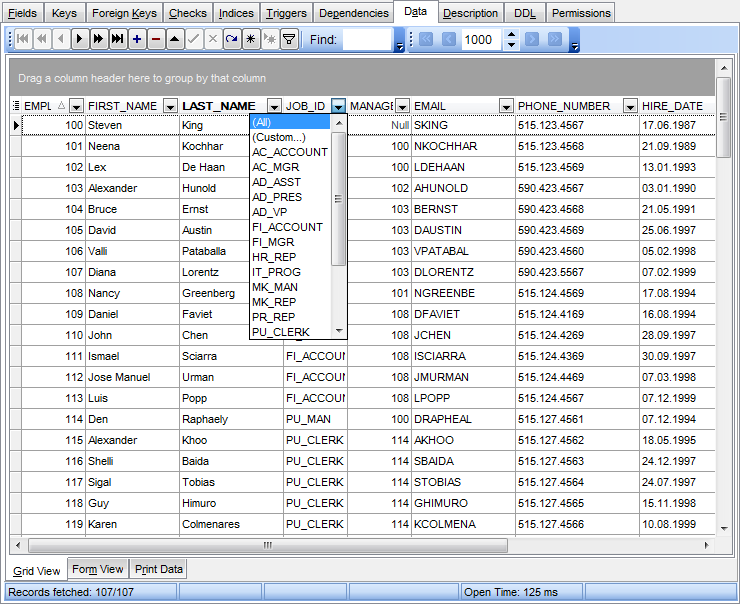 Data View - Grid View - Filtering records