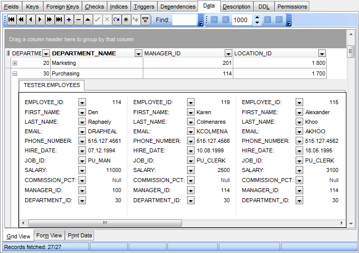 Data View - Grid View - Working in card view mode