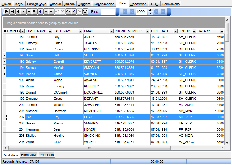 Data View - Grid View